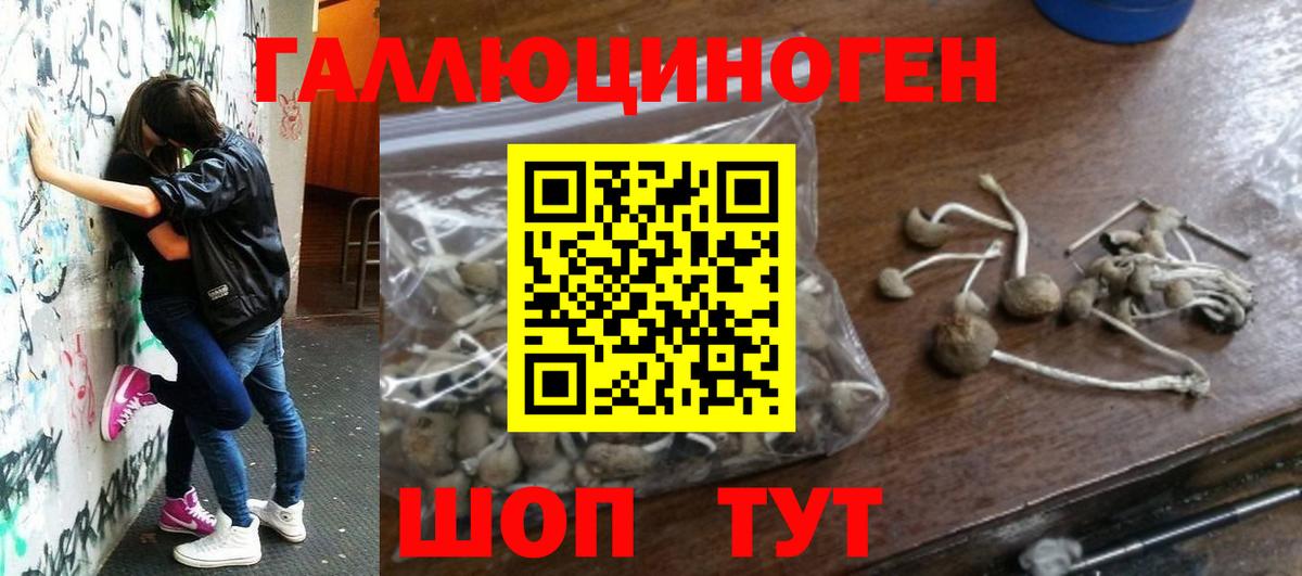 Галлюциногенные грибы GOLDEN TEACHER Чапаевск